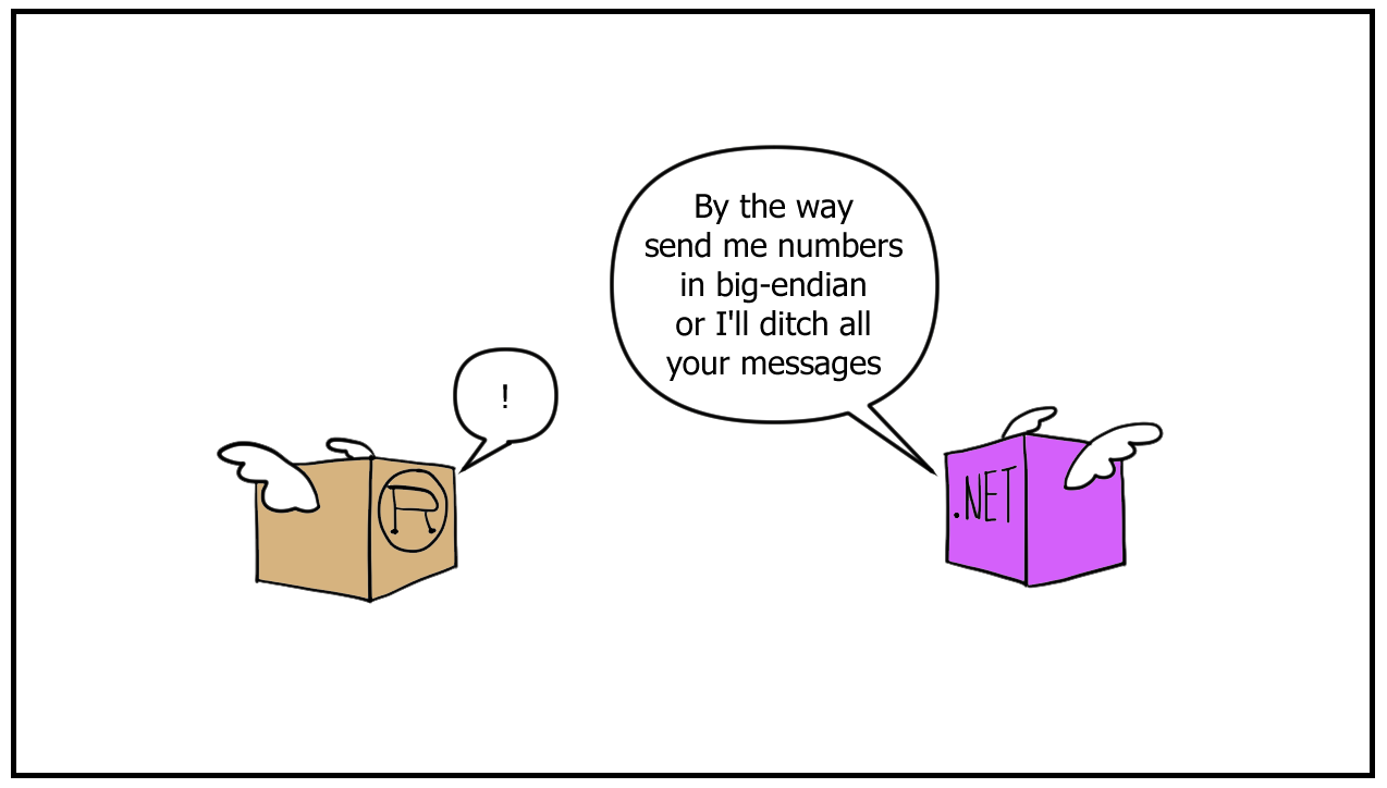 .NET wants numbers in bit-endian